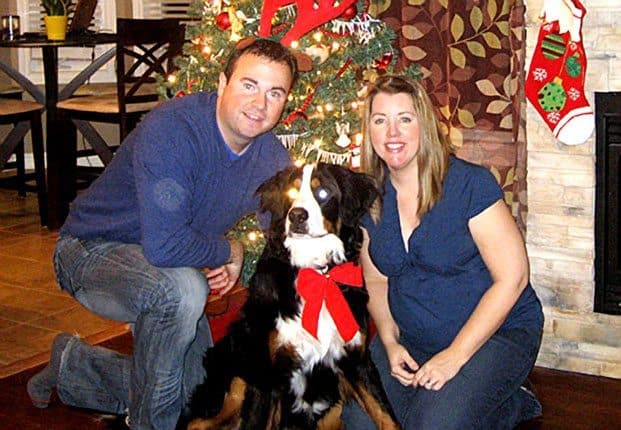 http://www.thedogfiles.com/wp-content/uploads/2011/01/missing-bernese-mountain-dog.jpg