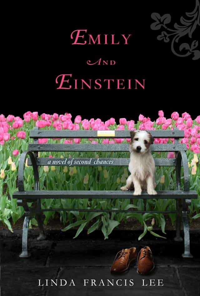 Emily And Einstein