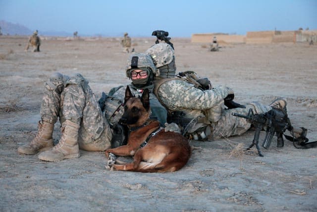 GSD rests with Soldier