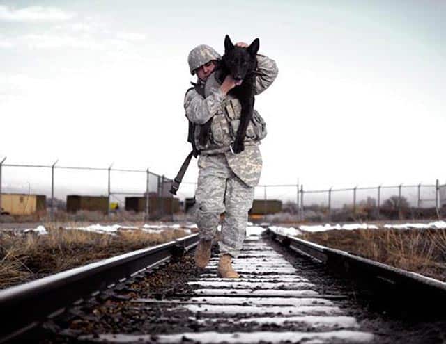 Soldier Carries Dog
