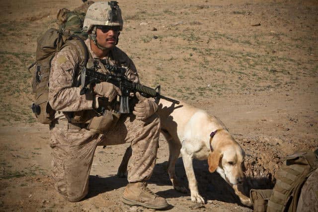 Soldier On Patrol With Dog