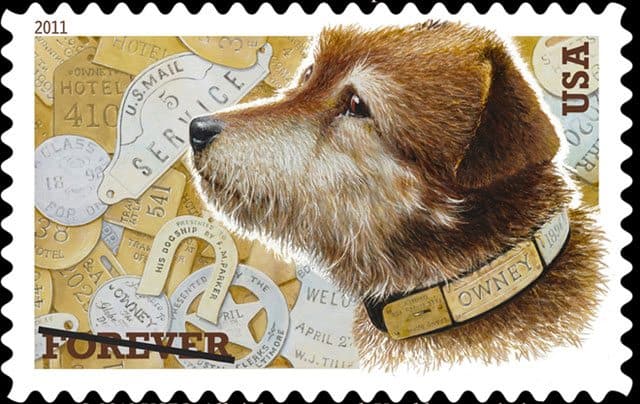 Dog Postage Stamp