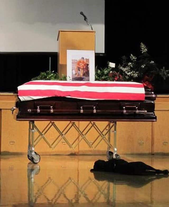 Dog Lays Next To Navy Seal Coffin