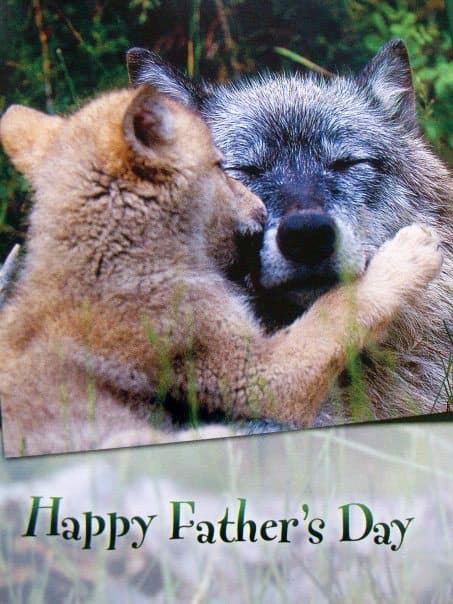 happyfathersdaywolves