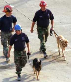 Emergency workers walk with two dogs down West Street as they leave the scene of "the pile".  Work shifts have been increased to 12-hour stretches, sometimes extending to 16 hours of non-stop searching. (Photo: Sep 17, 2001, AP / Roberto Borea)