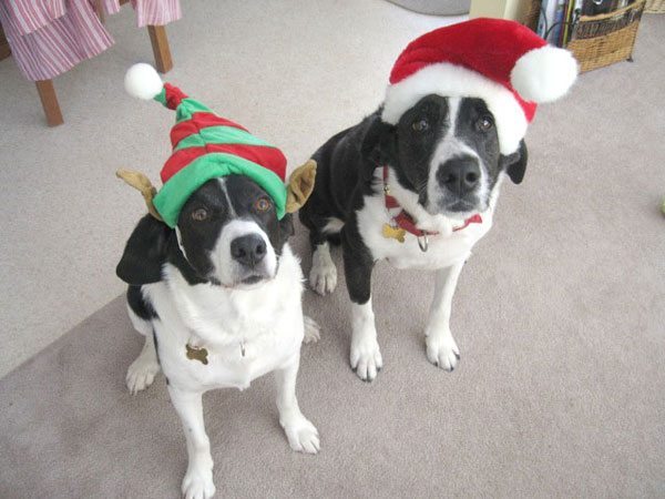 Santa&HisHelper_Max&Remy