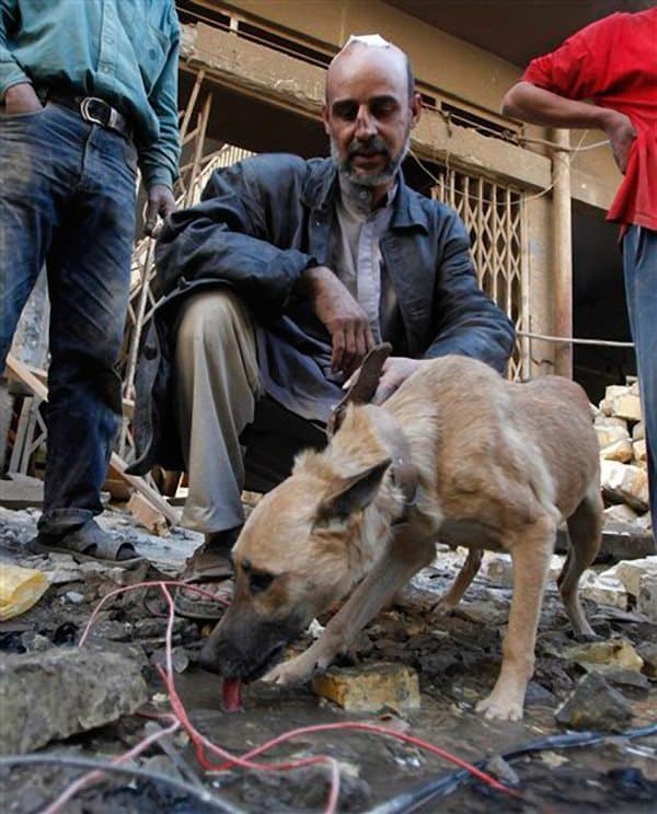 Liza the rescued dog drinks water from a puddle, in Baghdad, Iraq, Wednesday, Dec. 9, 2009. (AP Photo/Hadi Mizban)