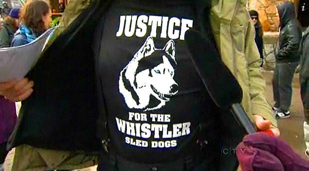 Rally For Whistler Sled Dogs