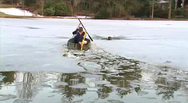 Delaware Dog Rescued From Ice 1