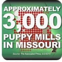 3000 Puppy Mills In Missouri