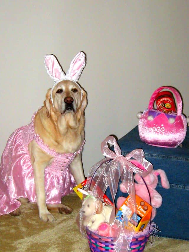 Cloe is all dressed up for Easter! Barbara Thomas Cole