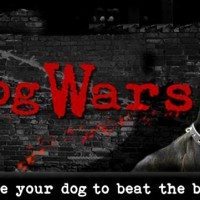 Dog Wars Kane Games