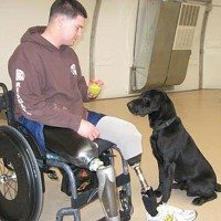 Injured Marine's Bomb Dog