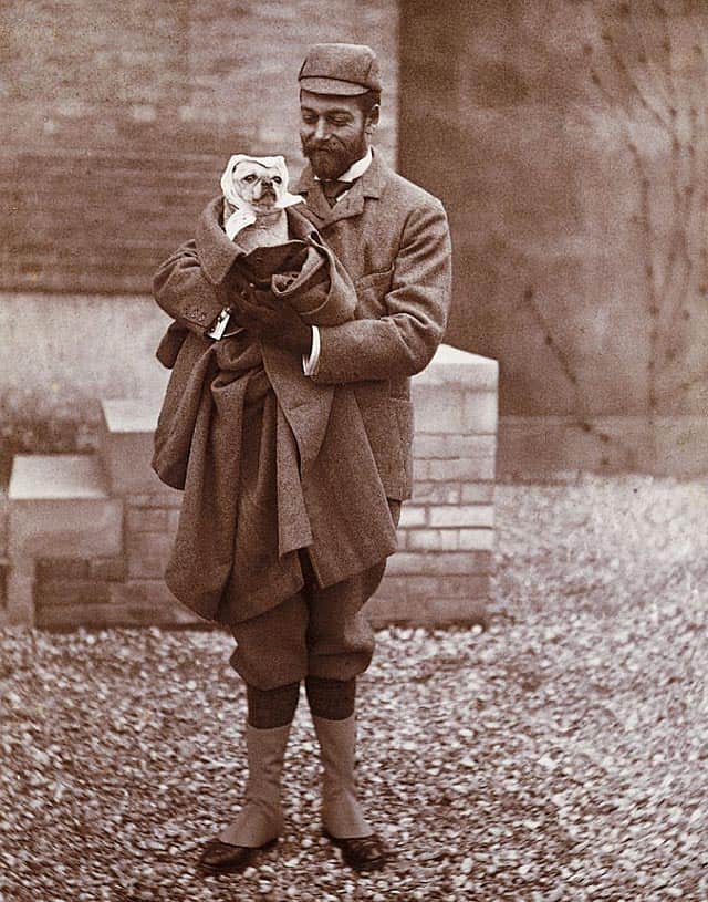 The Duke of York holding a pug.