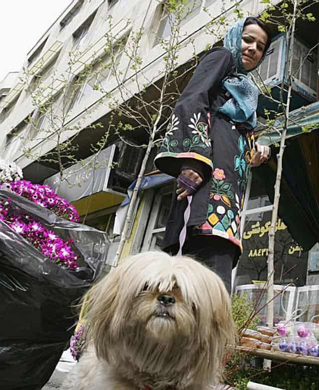 Is this woman walking her dog in Tehran a future criminal?