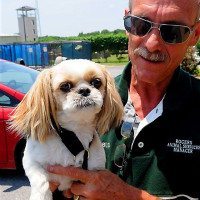 missing arkansas dog seven years