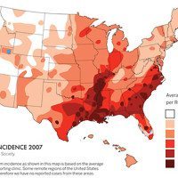 Heartworm Incidence Map