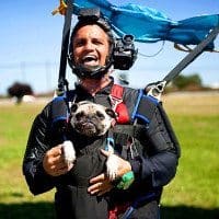 Otis parachute jumping dog 2