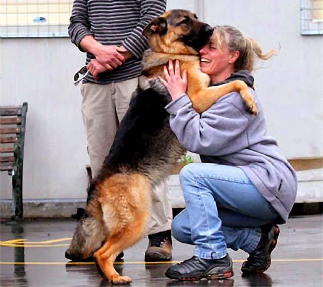 Natasha Sergent gets a hug from 16-month-old german shepherd Soul.