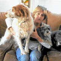 Lynn Jones with her dogs.