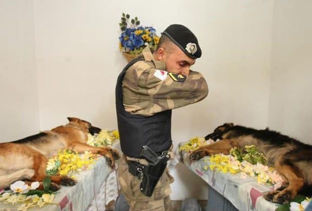Brazilian Police pay their respects to Dox and Lyon. 
