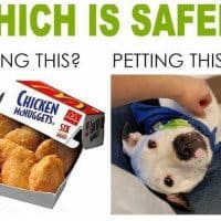 Which Is Safer?