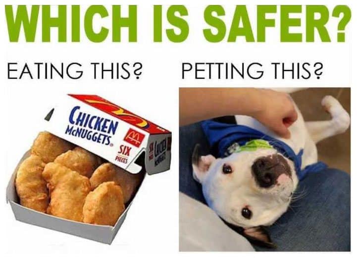 Which Is Safer?