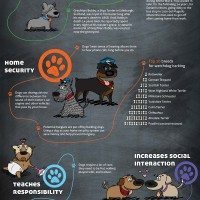 Benefits Of Owning A Dog Infographic